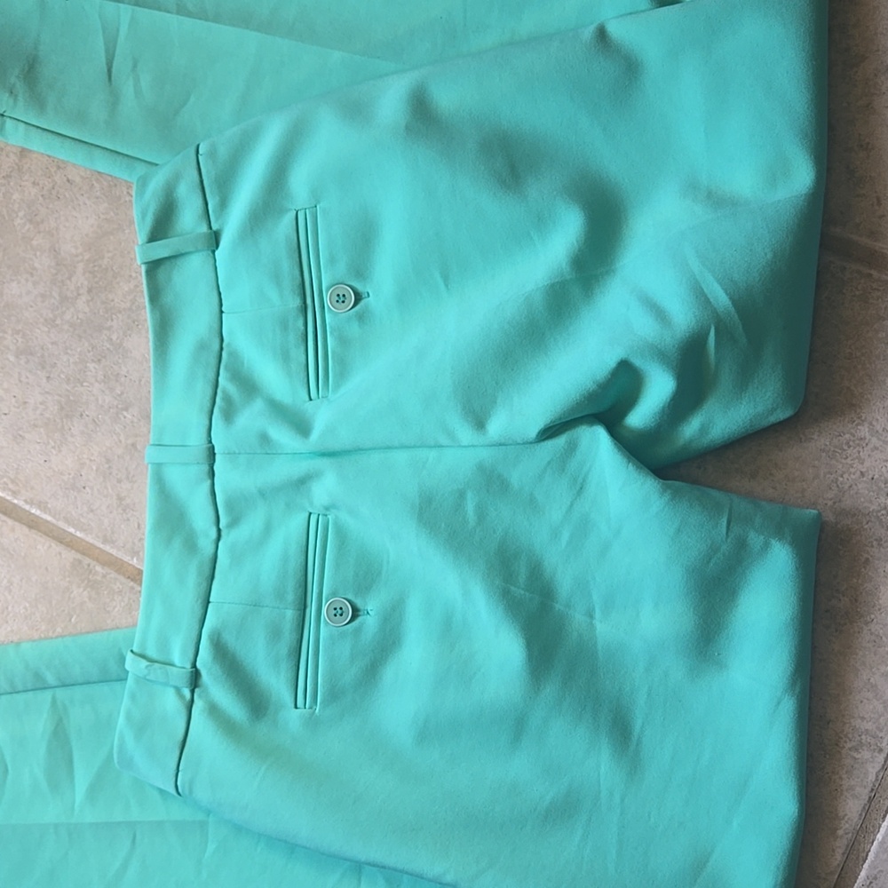 The Limited Sea Green Dress Pants - Picture 2 of 3